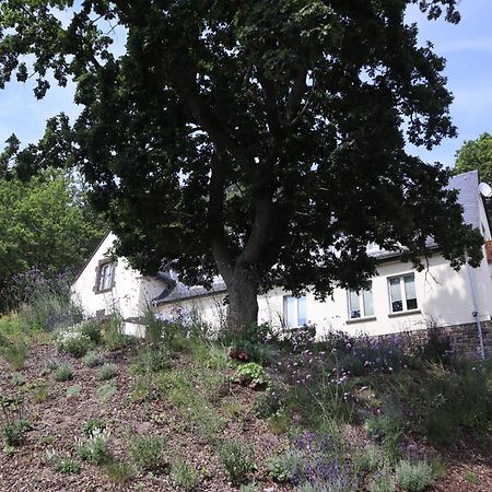 فندق Residenz Kirchberg آدناو المظهر الخارجي الصورة